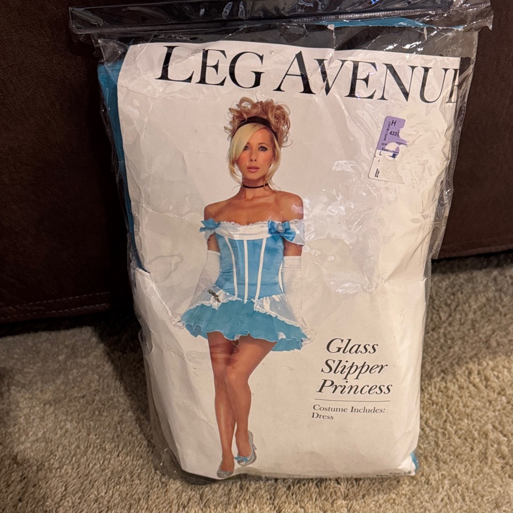 Leg Avenue Cinderella Blue and White Princess Dress